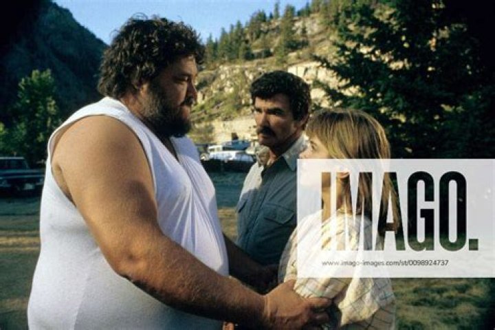 Dennis Burkley Net Worth, Income, Salary, Earnings, Biography