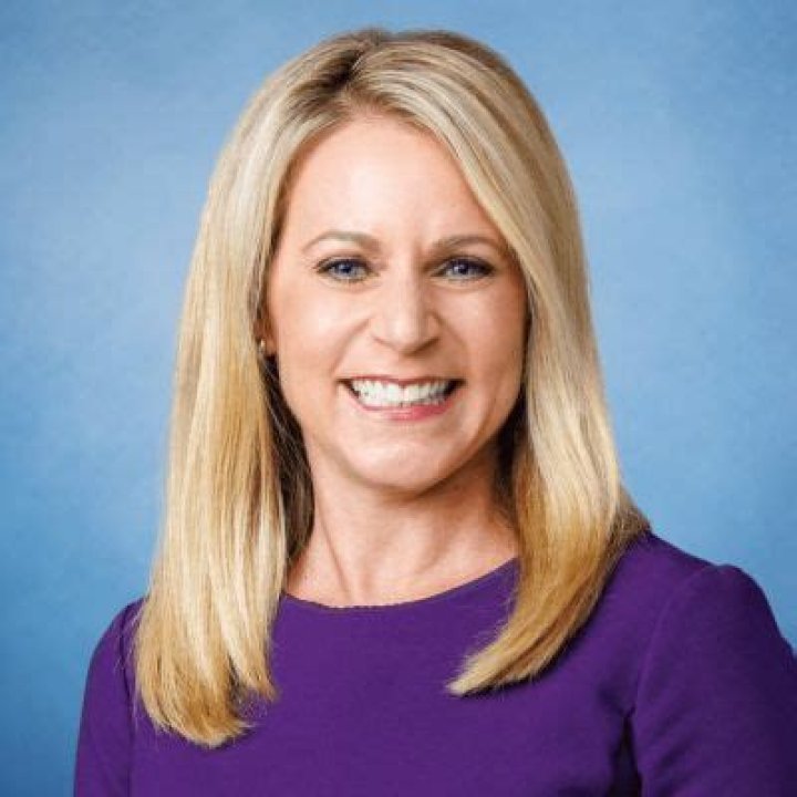 Julie Fine New Job: Why Did He Leave Lone Star Politics? Journalist Salary Explore